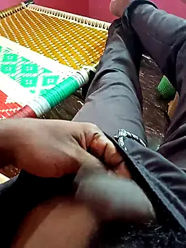 dolphiinn online show from 1, 11, 2025