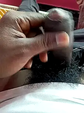 dolphiinn online show from 5, 12, 2025