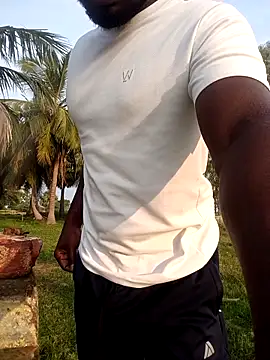 dolphiinn online show from 29, 3, 2026