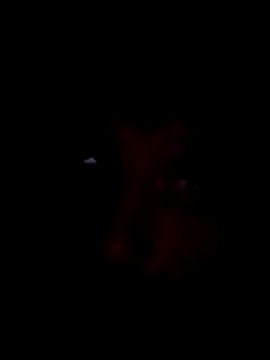 Snapshot of Potch8duim chatting on 2, 11, 2025 Potch8duim online show from 2, 11, 2025