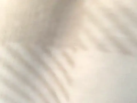 Tishrella6 online show from 11, 9, 2025