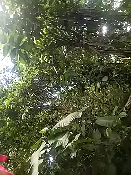 dulcelatin21 online show from 25, 11, 2025