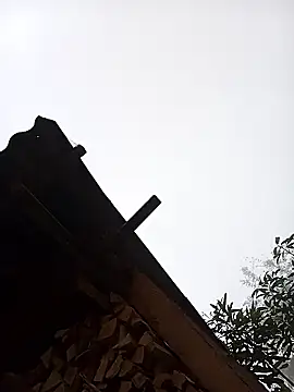 Ngocmi909 online show from 16, 1, 2026