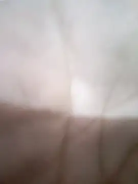 KitedSeizure online show from 17, 1, 2026