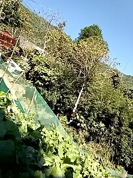 Maymay0033 online show from 29, 11, 2025