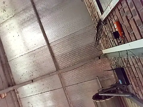 Fienjr online show from 29, 3, 2026