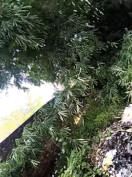 Snapshot of onlymasti00 chatting on 4, 11, 2025 onlymasti00 online show from 4, 11, 2025