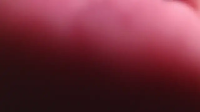 bri von dhara   online show from 28, 2, 2026