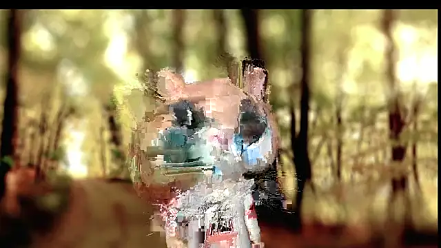 abbyli12 online show from 2, 2, 2026