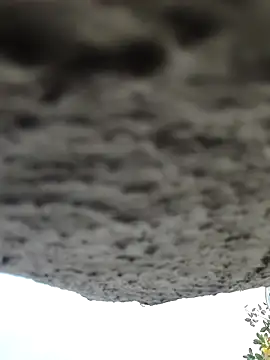 Snapshot of AnanyaKapoor89 chatting on 9, 11, 2025 AnanyaKapoor89 online show from 9, 11, 2025