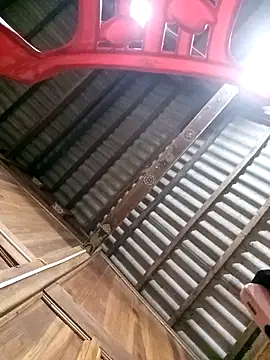 bing-bing88 online show from 8, 3, 2026