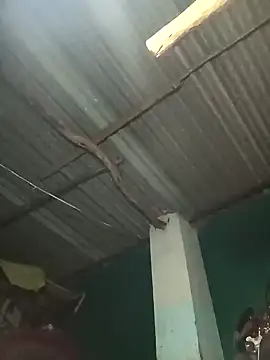 Snapshot of Hot-honi chatting on 19, 9, 2025 Hot-honi online show from 19, 9, 2025