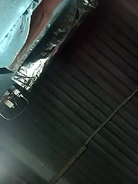 Snapshot of Hot-honi chatting on 1, 11, 2025 Hot-honi online show from 1, 11, 2025