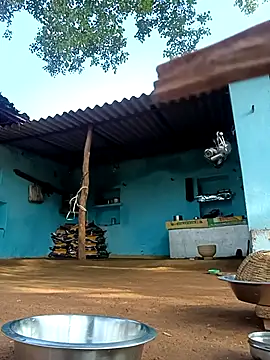 Snapshot of Hot-honi chatting on 2, 11, 2025 Hot-honi online show from 2, 11, 2025