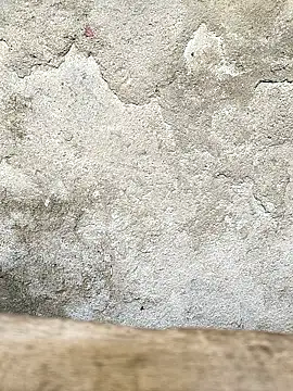 sexy  girls98 online show from 25, 3, 2026