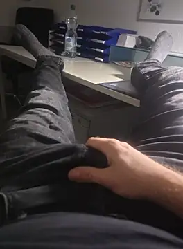 stunning stallion online show from 13, 10, 2025