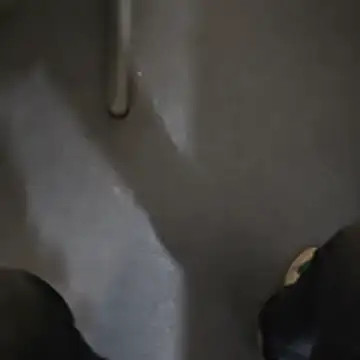 stunning stallion online show from 23, 10, 2025