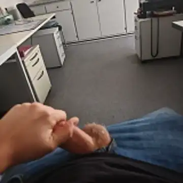 stunning stallion online show from 16, 11, 2025