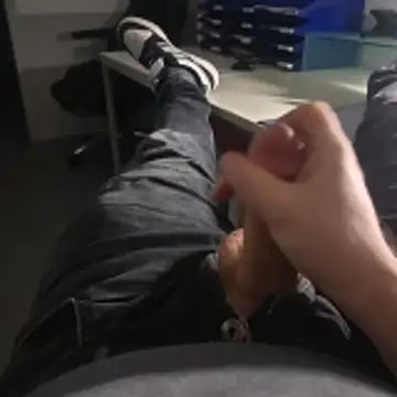 stunning stallion online show from 21, 11, 2025