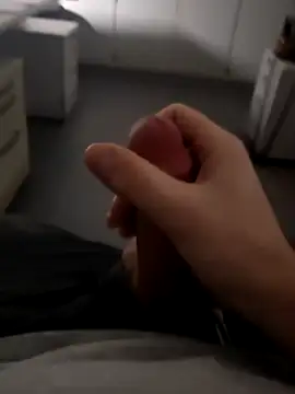 stunning stallion online show from 16, 1, 2026