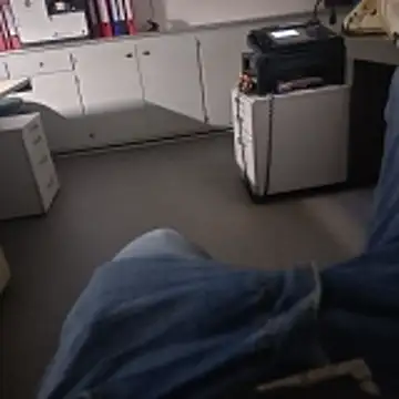 stunning stallion online show from 3, 3, 2026