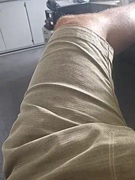 stunning stallion online show from 19, 4, 2026