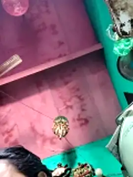 Pooja750 online show from 13, 4, 2026