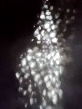 Perropa online show from 18, 1, 2026