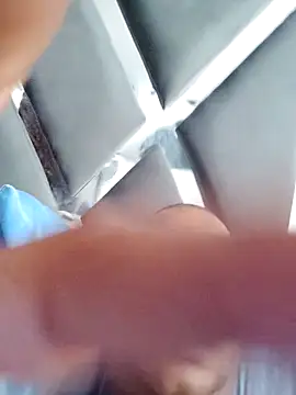 Perropa online show from 2, 4, 2026