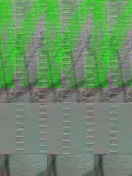 Snapshot of Payal950 chatting on 22, 10, 2025 Payal950 online show from 22, 10, 2025