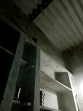 Snapshot of Payal950 chatting on 8, 11, 2025 Payal950 online show from 8, 11, 2025