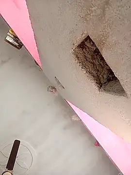 Snapshot of Payal950 chatting on 7, 2, 2026 Payal950 online show from 7, 2, 2026