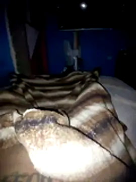 Exotic19cm online show from 8, 3, 2026