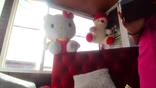 teilor dreamse online show from 29, 11, 2025