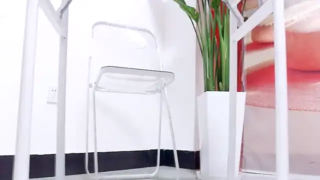 Snapshot of Tianxin6 chatting on 6, 1, 2026 Tianxin6 online show from 6, 1, 2026