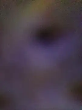 sadhna200 online show from 5, 10, 2025