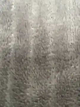 HeerStd online show from 20, 11, 2025