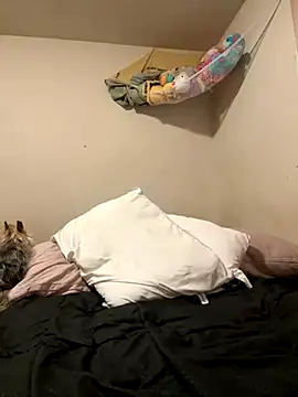 Snapshot of VanessaRose5362 chatting on 14, 10, 2025 VanessaRose5362 online show from 14, 10, 2025