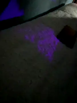 disvla online show from 22, 11, 2025