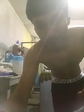 Bebicho14 online show from 11, 11, 2025