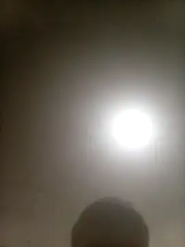 Bebicho14 online show from 10, 2, 2026