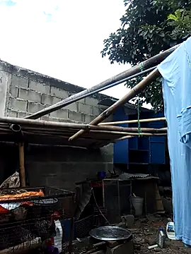 MackMacKenzie online show from 19, 12, 2025