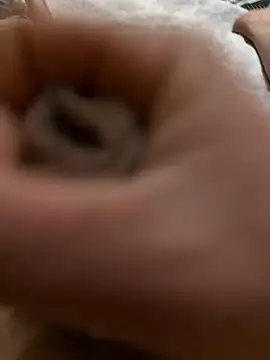 nbka12 online show from 1, 2, 2026