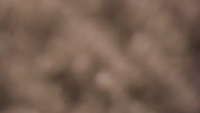 lauren bigboobs22 online show from 4, 3, 2026