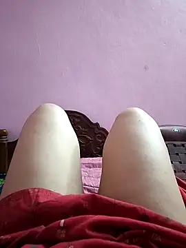 jothitelugu online show from 24, 10, 2025