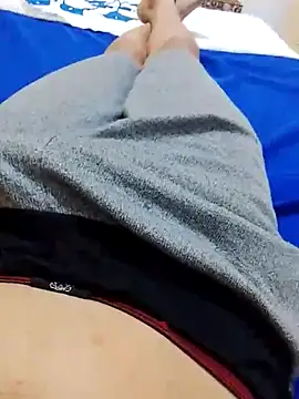 Holanda23cm online show from 29, 3, 2026