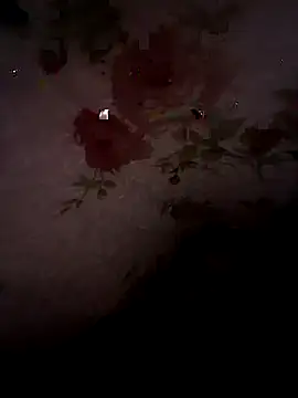 SummerArthur online show from 30, 9, 2025