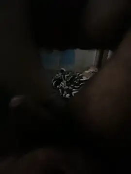 FromVnz online show from 21, 11, 2025