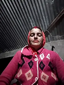 Jalebi bay online show from 20, 11, 2025