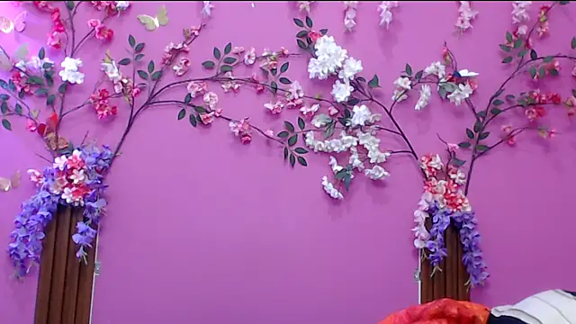 skinnysofia18 online show from 1, 12, 2025